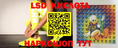 трава Лесосибирск