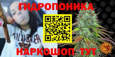 трава Лесосибирск