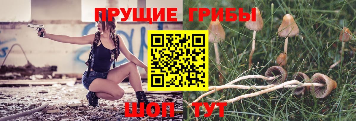 Галлюциногенные грибы мухоморы  Псилоцибиновые грибы Cubensis  Торжок  Вход с VPN 